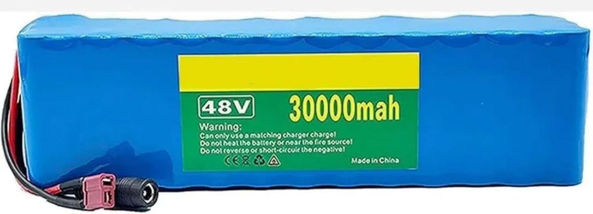 Batteria Li-Ion 48V 30Ah per Bici Elettrica, Compatibile con Motori 200W-1000W, con BMS Integrato e Caricabatterie