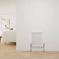 Radiatore a Colonna in Ghisa Bianco Lucido, 2 Colonne, 600x425 mm, Riscaldamento Centralizzato